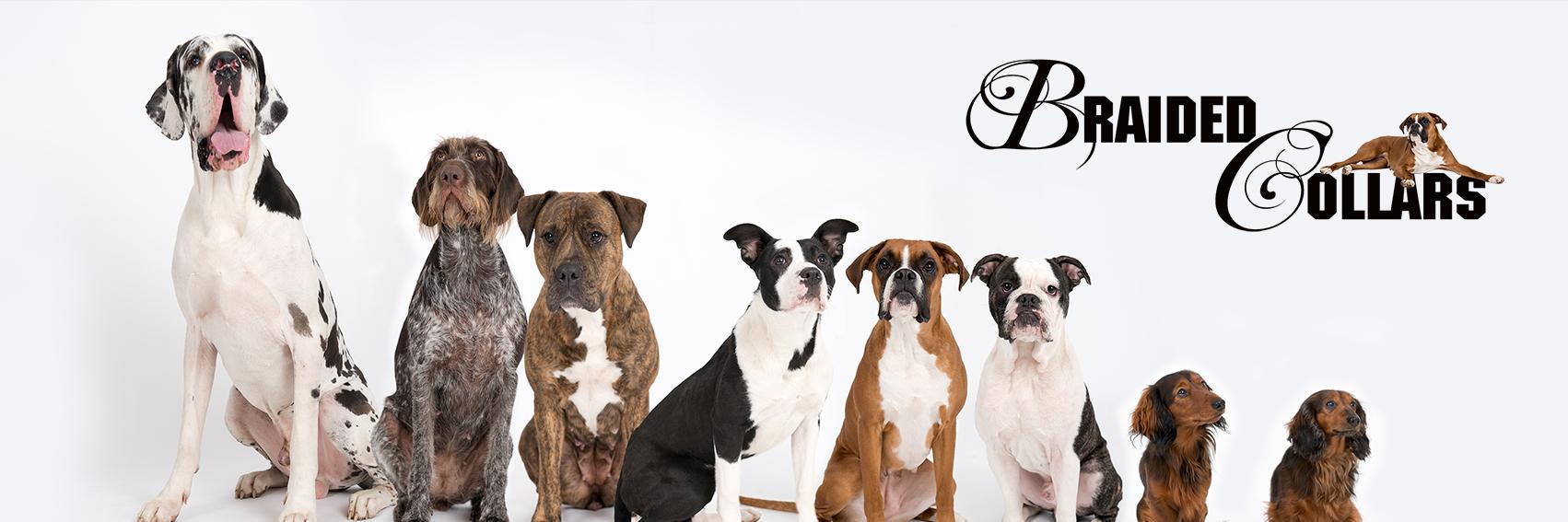 braidedcollars's profile banner image