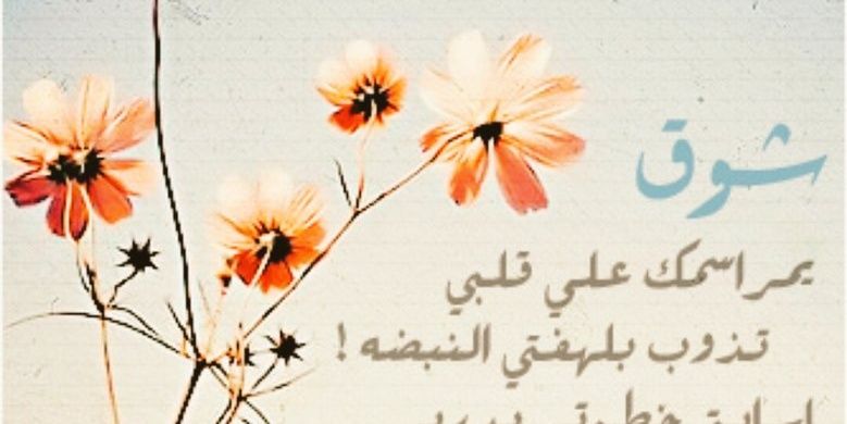 aaaa04808's profile banner image