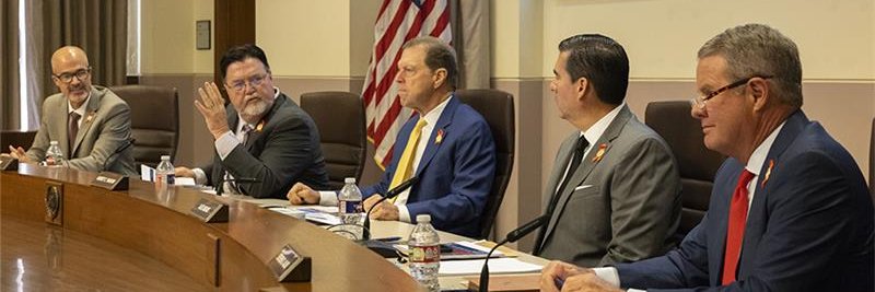 TxDOT Commission banner