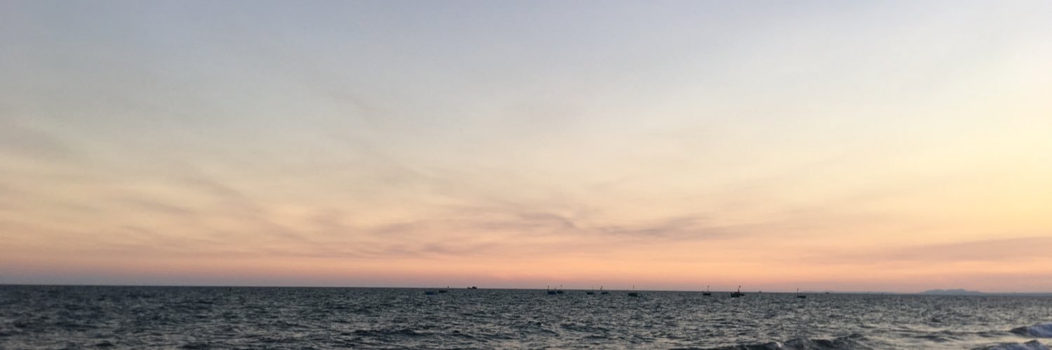 WSging's profile banner image