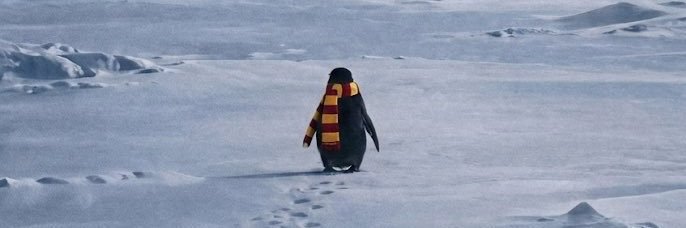bbariskuru's profile banner image