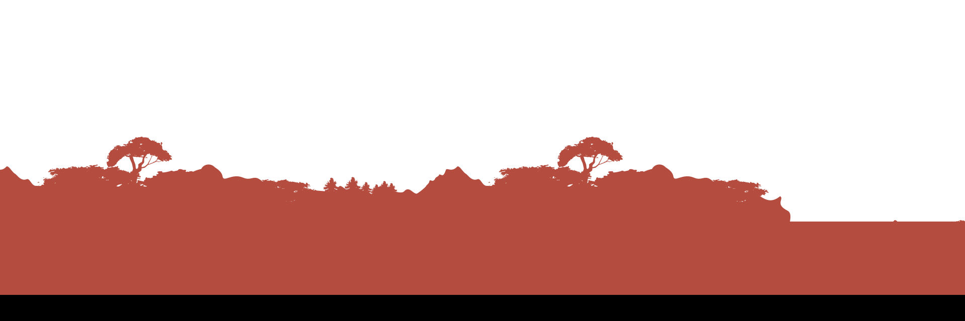 cholidyator's profile banner image