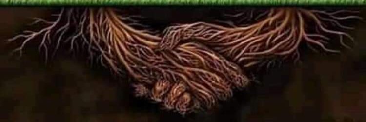 thabostr8's profile banner image
