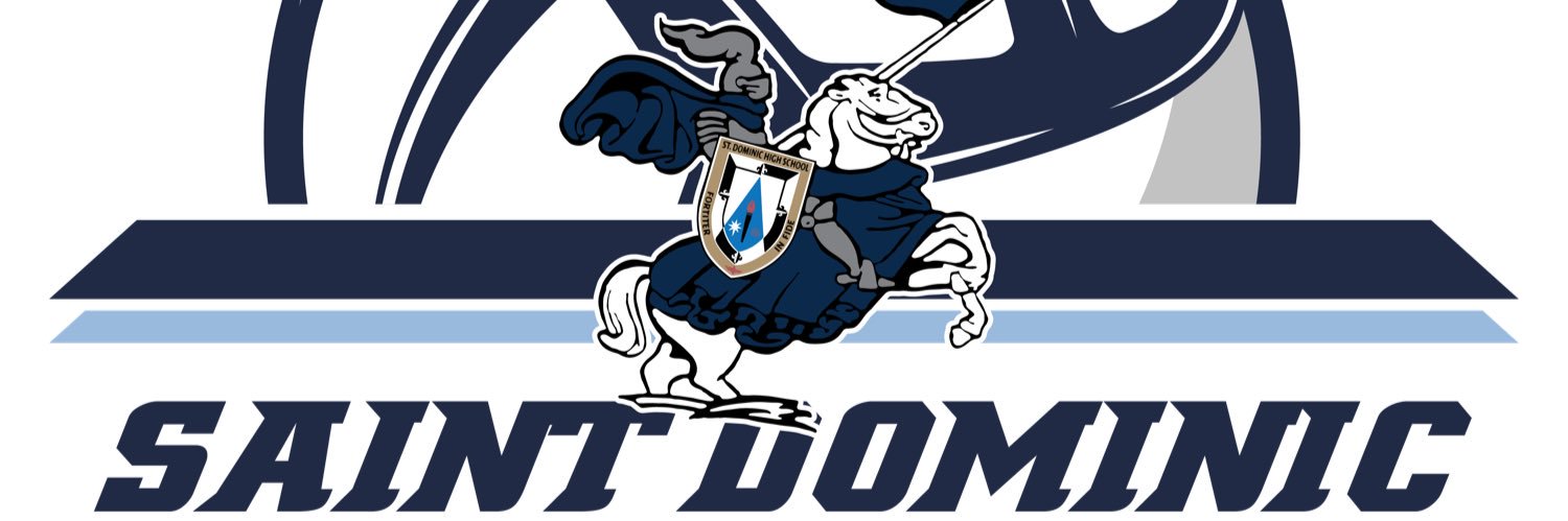 Dominic Boys Vball banner