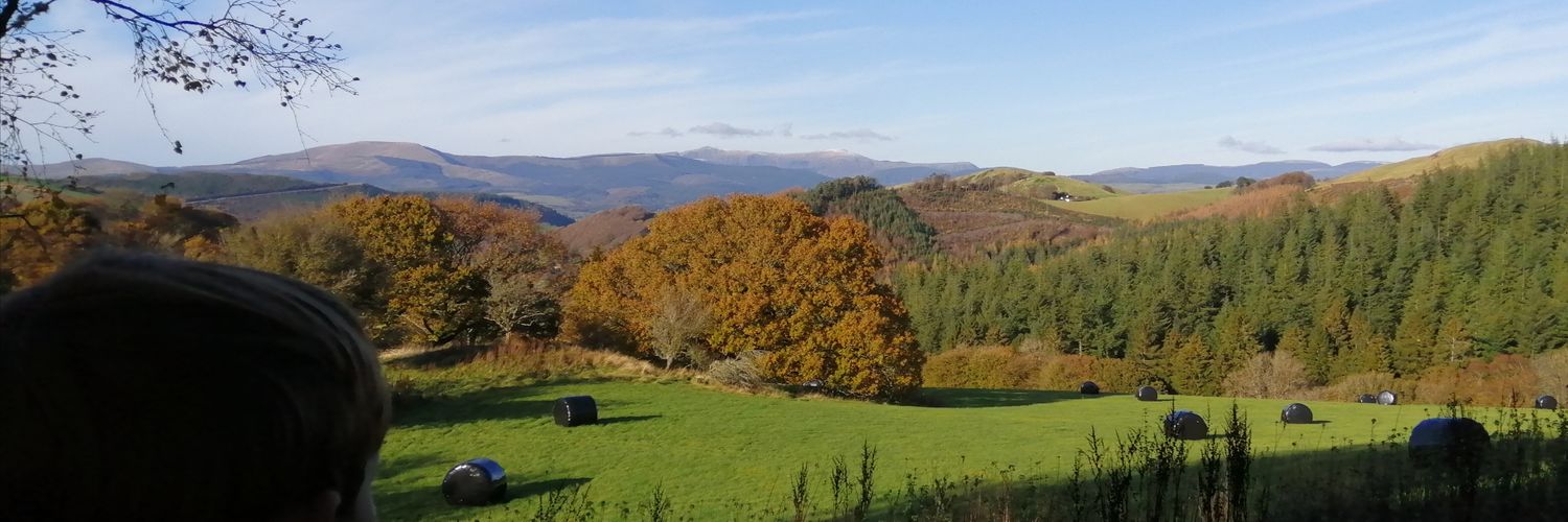 Jayne Marie Mach Wales banner