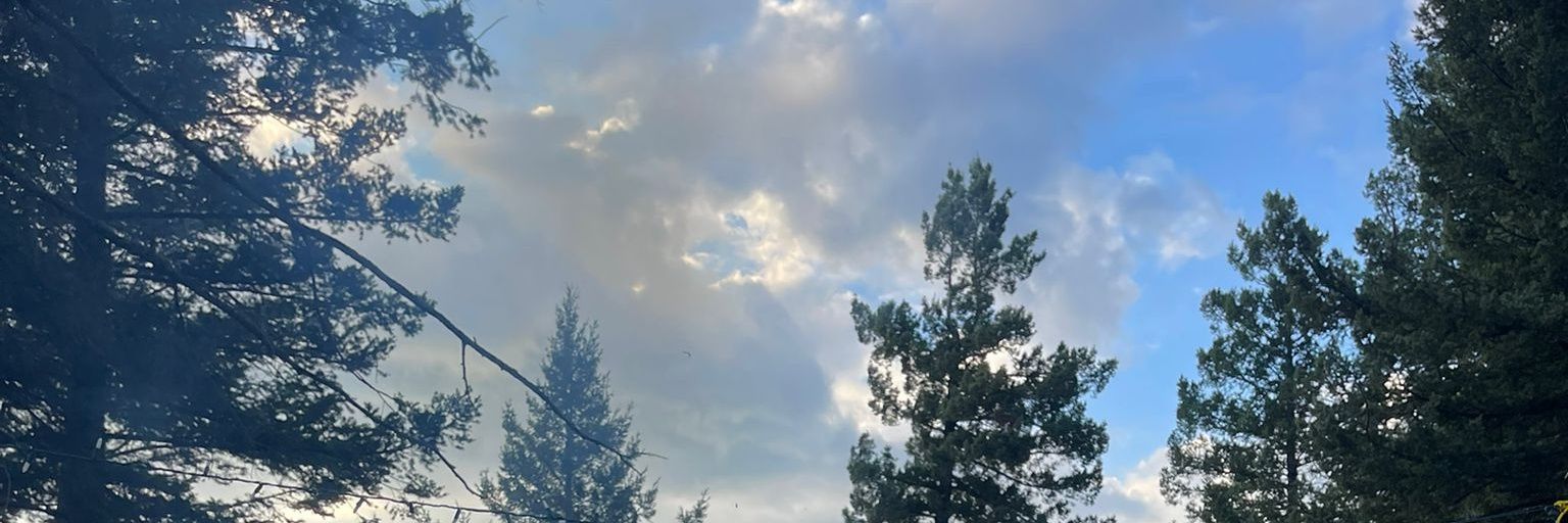 a13de461eb04483's profile banner image