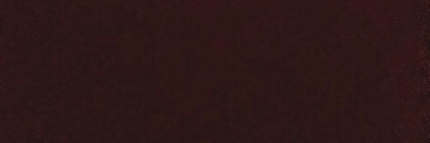 inVINCEsibility's profile banner image
