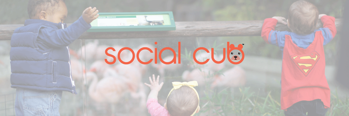 Social_Cub's profile banner image