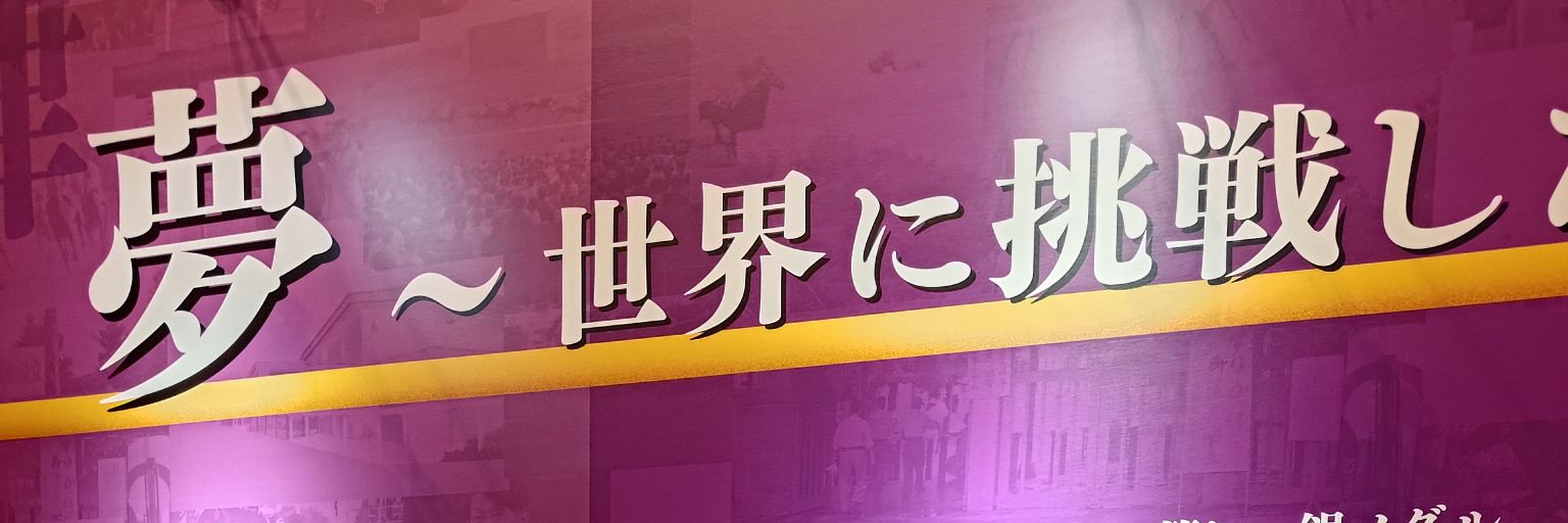 Scias_R's profile banner image