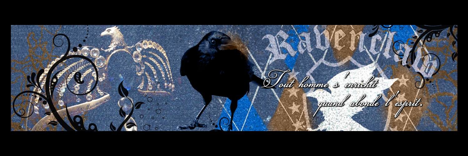 SabPotterhead's profile banner image