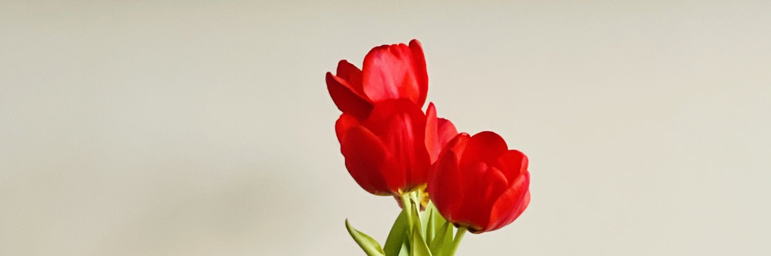 BriCrenshaw's profile banner image