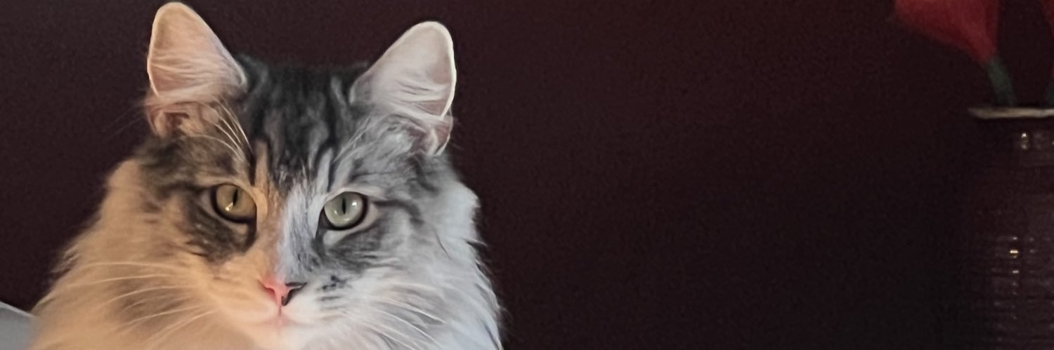 Catherine Magourou banner