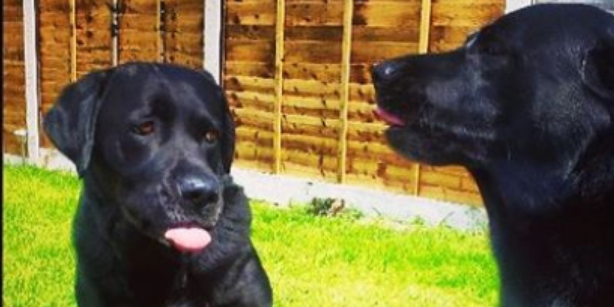amy7989's profile banner image