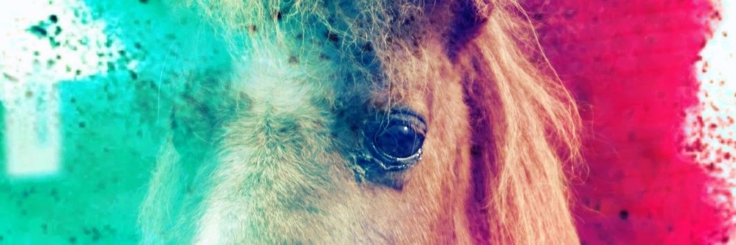 xHoefijzer's profile banner image
