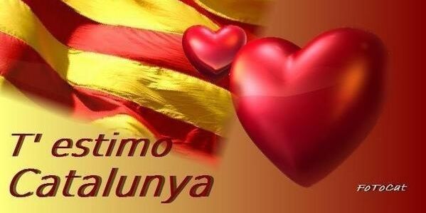 totonillo's profile banner image