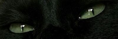 FatxBritez's profile banner image