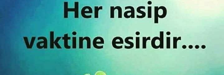 Beyaz__G_M_'s profile banner image