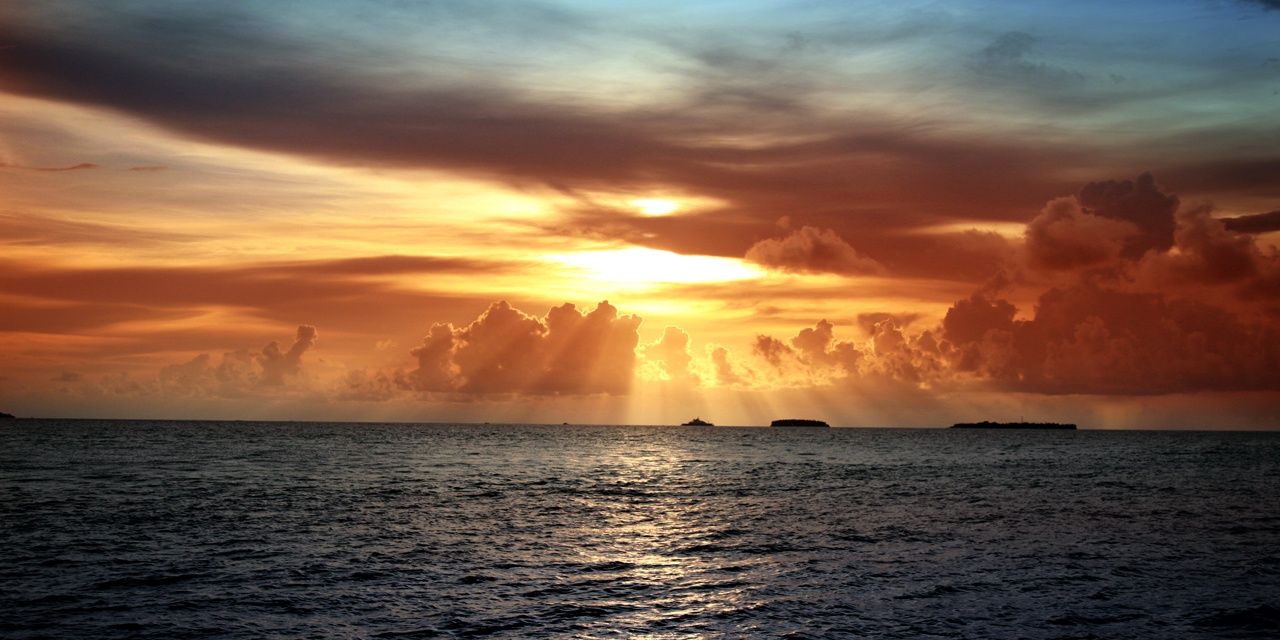 je pense donc je suis banner