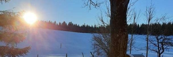collaswww's profile banner image