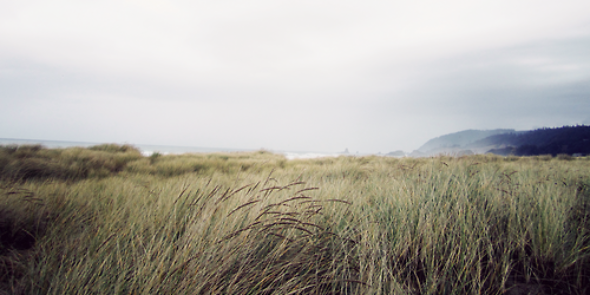 slvgnl's profile banner image