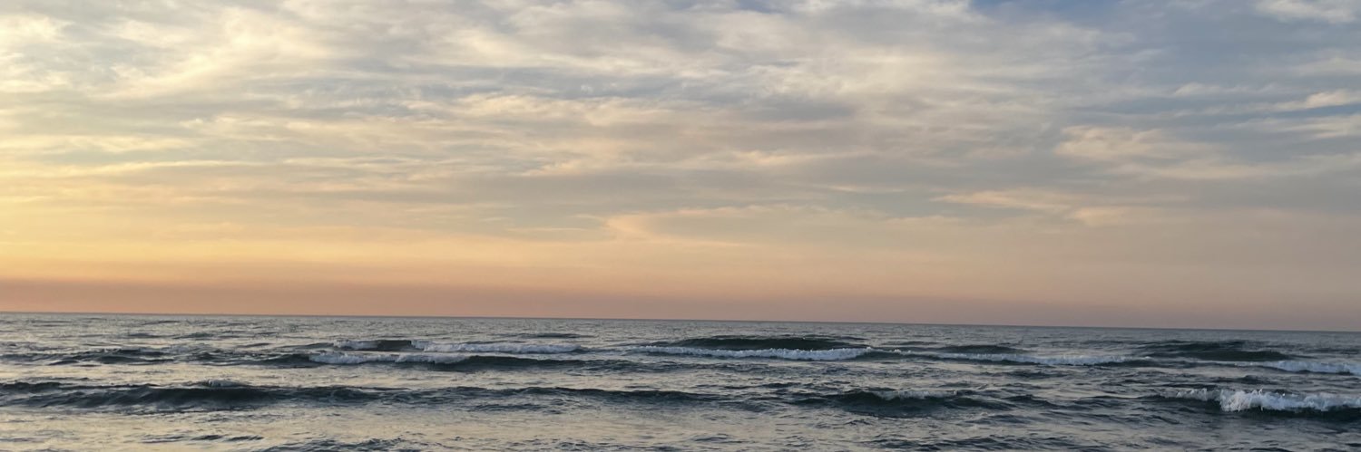 Vivilimon12's profile banner image