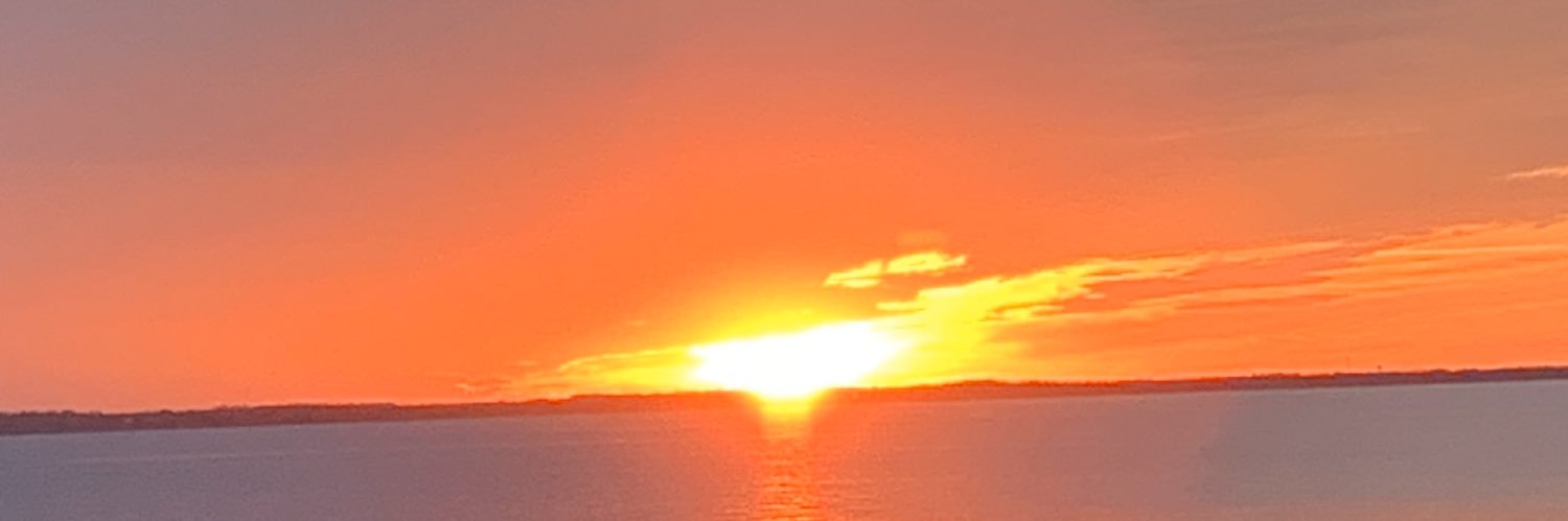 MHS_Whaley's profile banner image