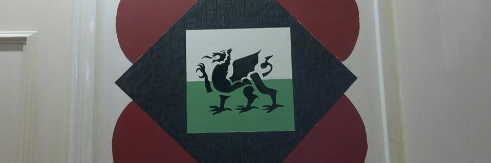 TheTurtle65 banner