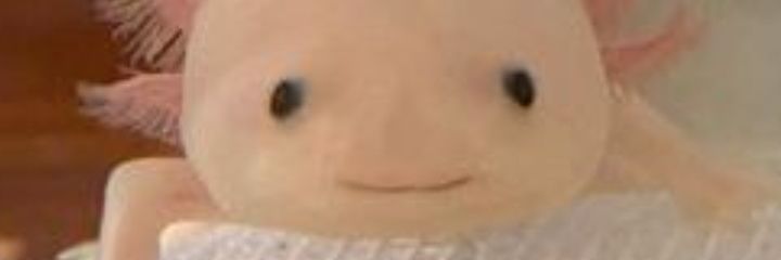 atrasnewwo's profile banner image