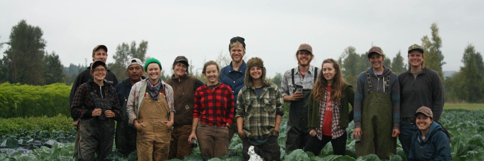 WobblyCartFarm's profile banner image