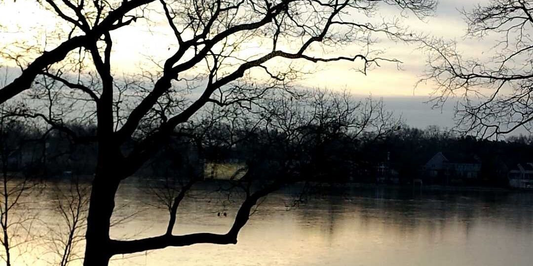 sydney__perry's profile banner image