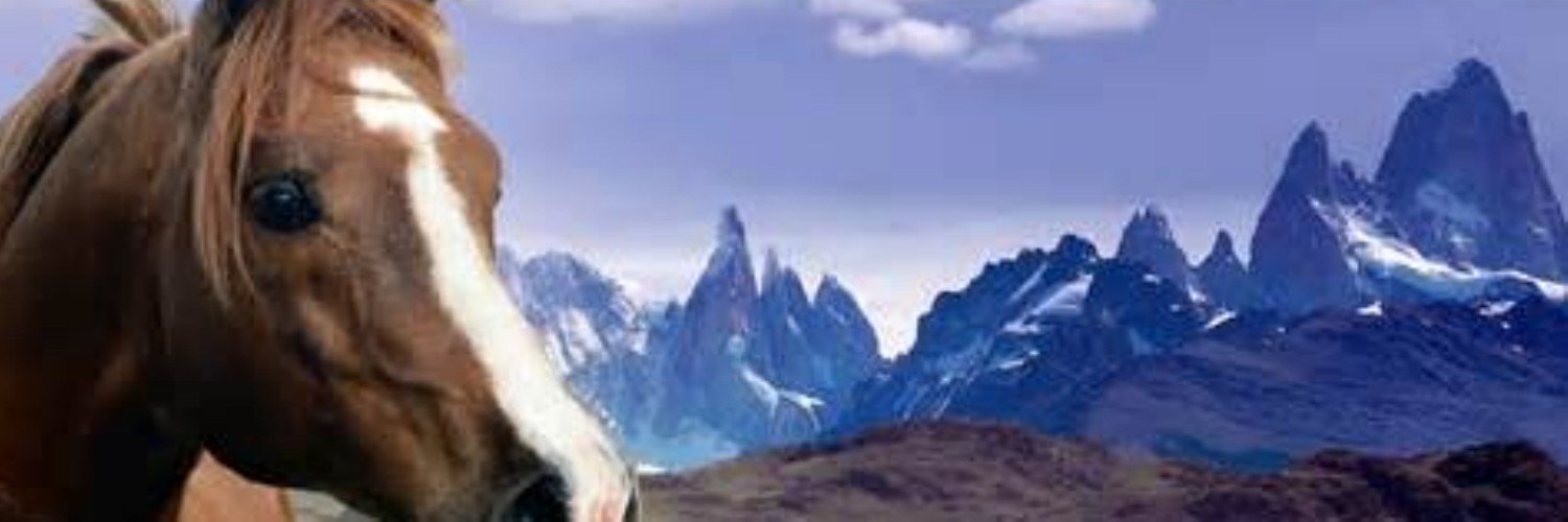CG Fleischer banner