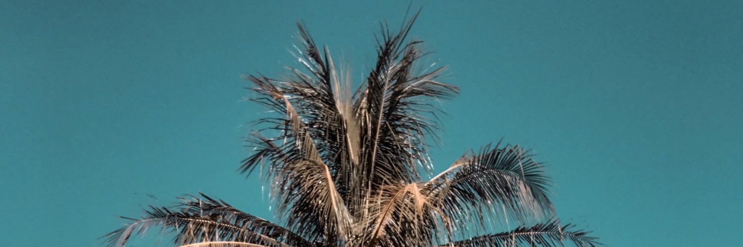 AleMedeirosYT's profile banner image