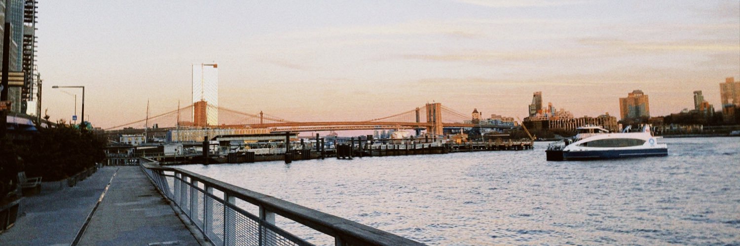 Lauren Casey banner