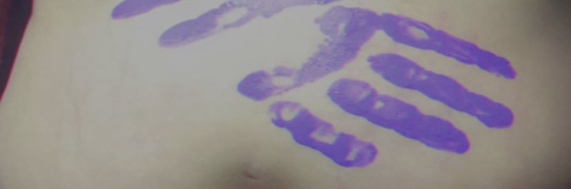 CurvyBitchh's profile banner image