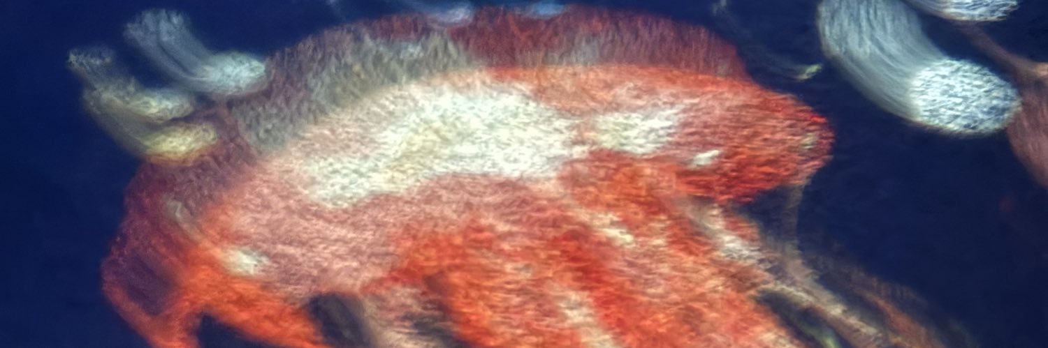 peppermint_tpw's profile banner image