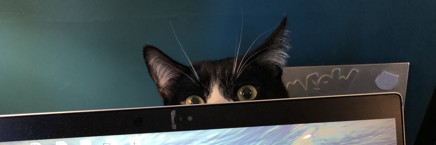 Prof. Andrea Armani banner