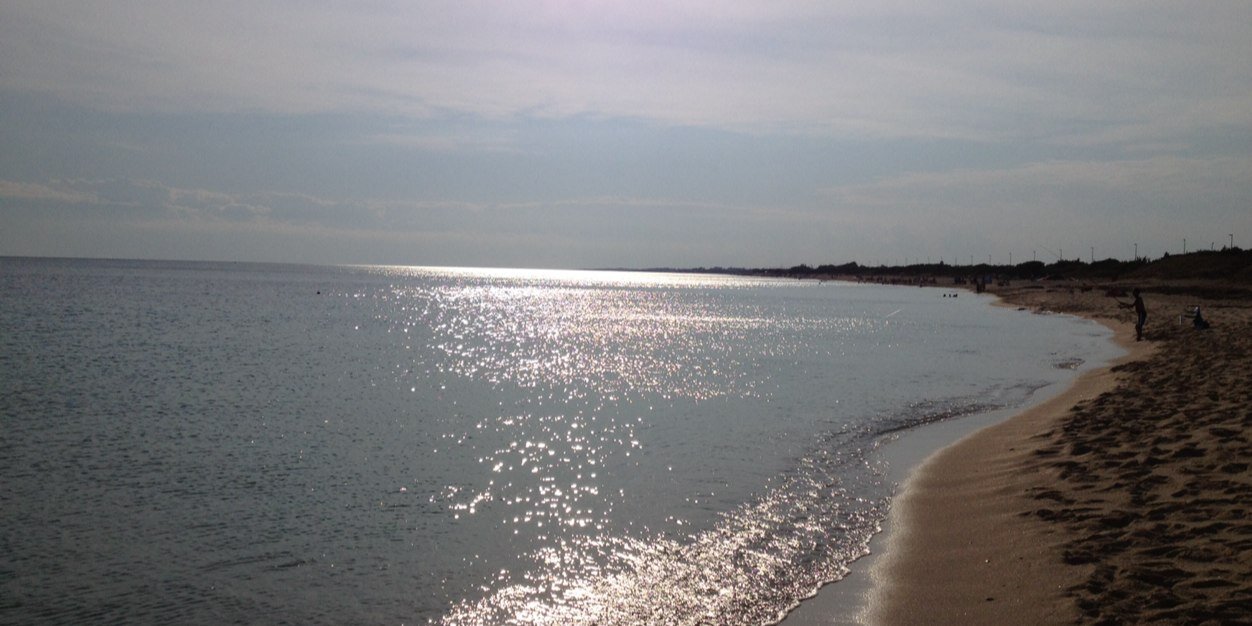 RobertoAlbanese's profile banner image
