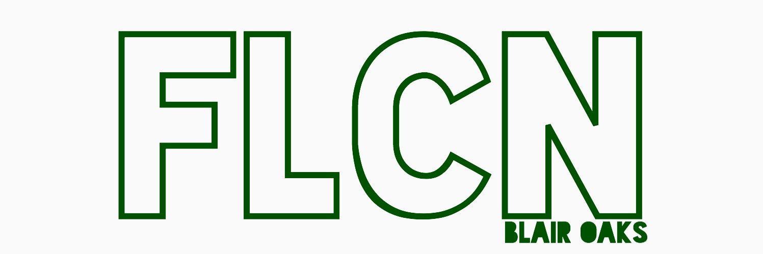 bhsflcn's profile banner image