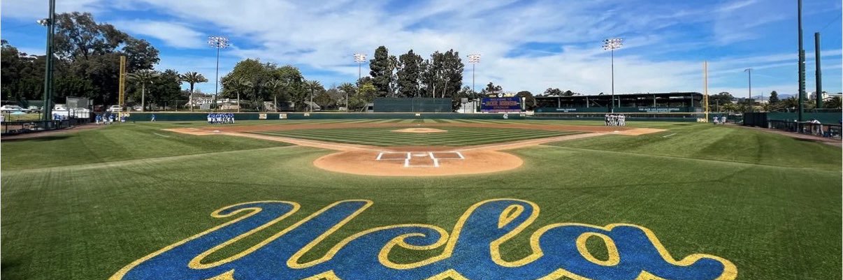 Freedom Bruin banner