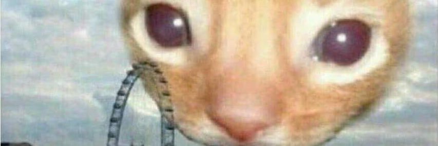 ASillyfemme's profile banner image