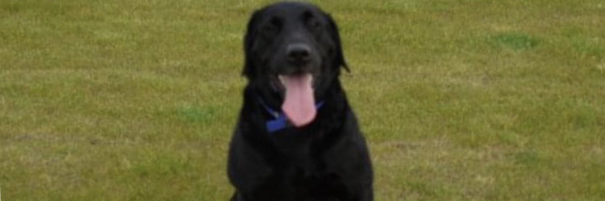 Andrew Cunningham banner