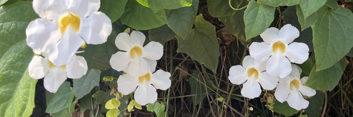 anggiyi's profile banner image