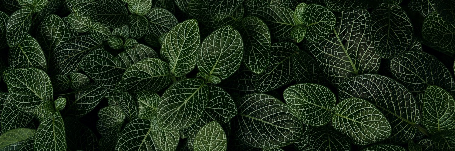 QueenNatOG's profile banner image