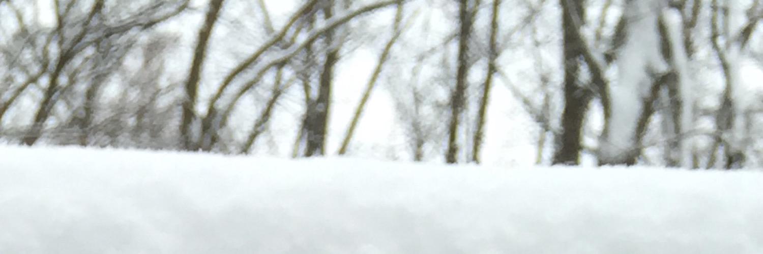 MrsElls1's profile banner image
