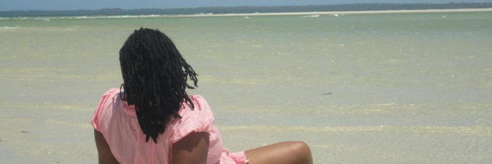 ShyroKiki's profile banner image