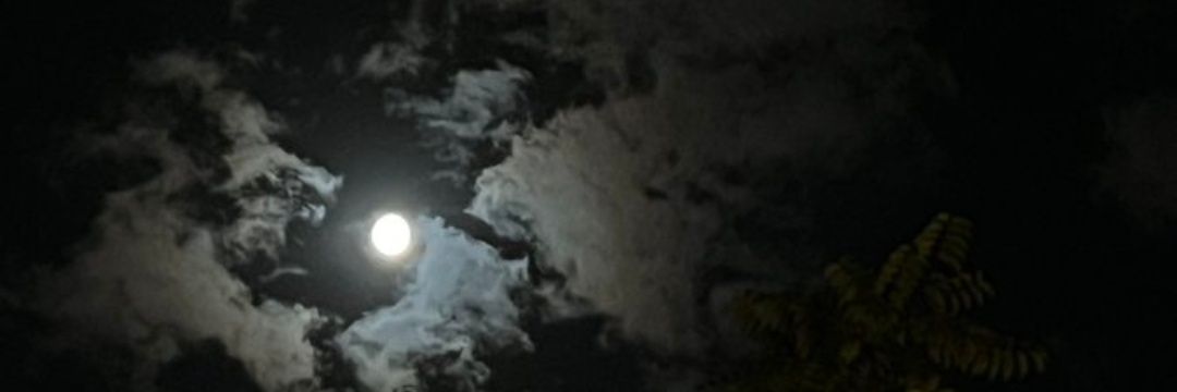 KShahram74's profile banner image