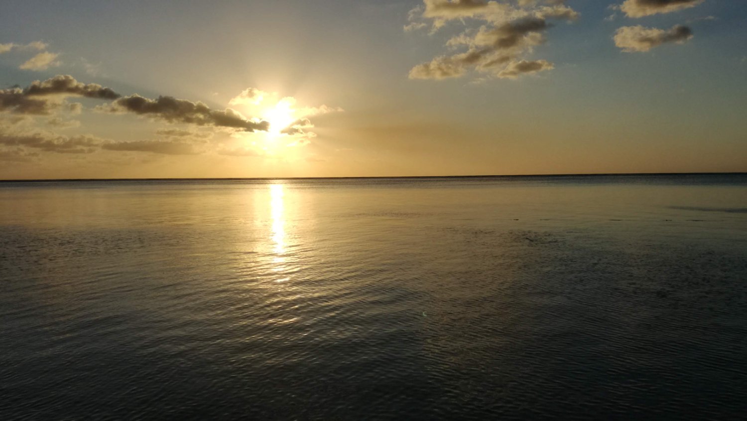 Debbie Hathway banner