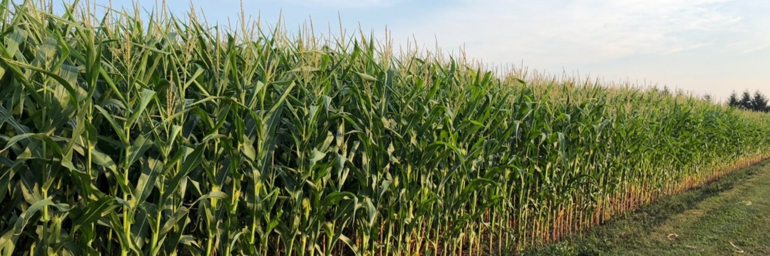 innov_Farming's profile banner image