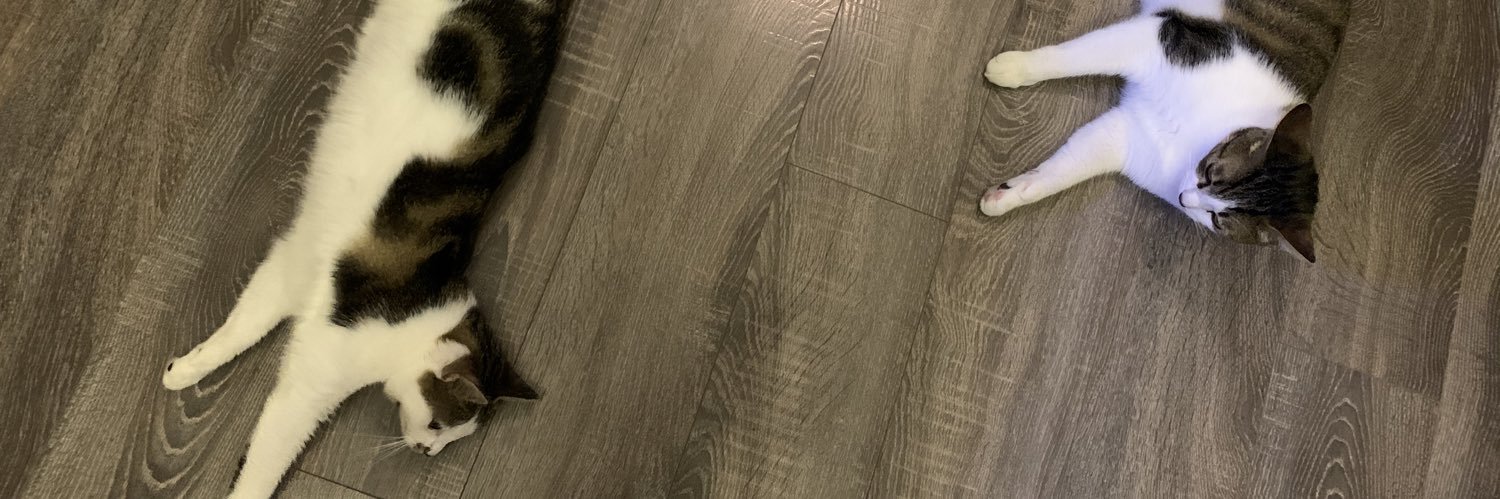 salnick128's profile banner image