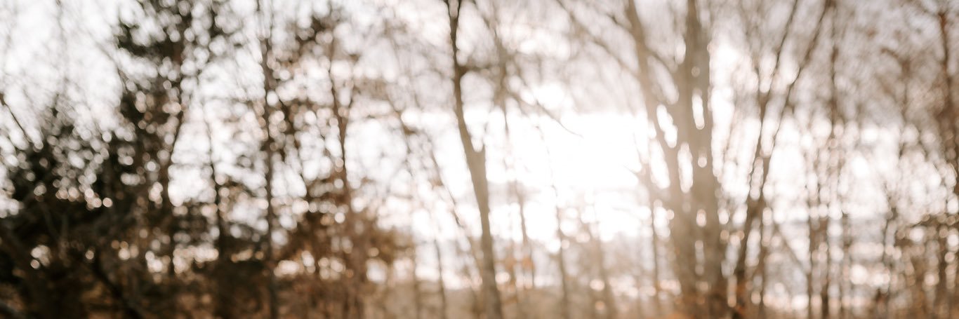 murZ_'s profile banner image
